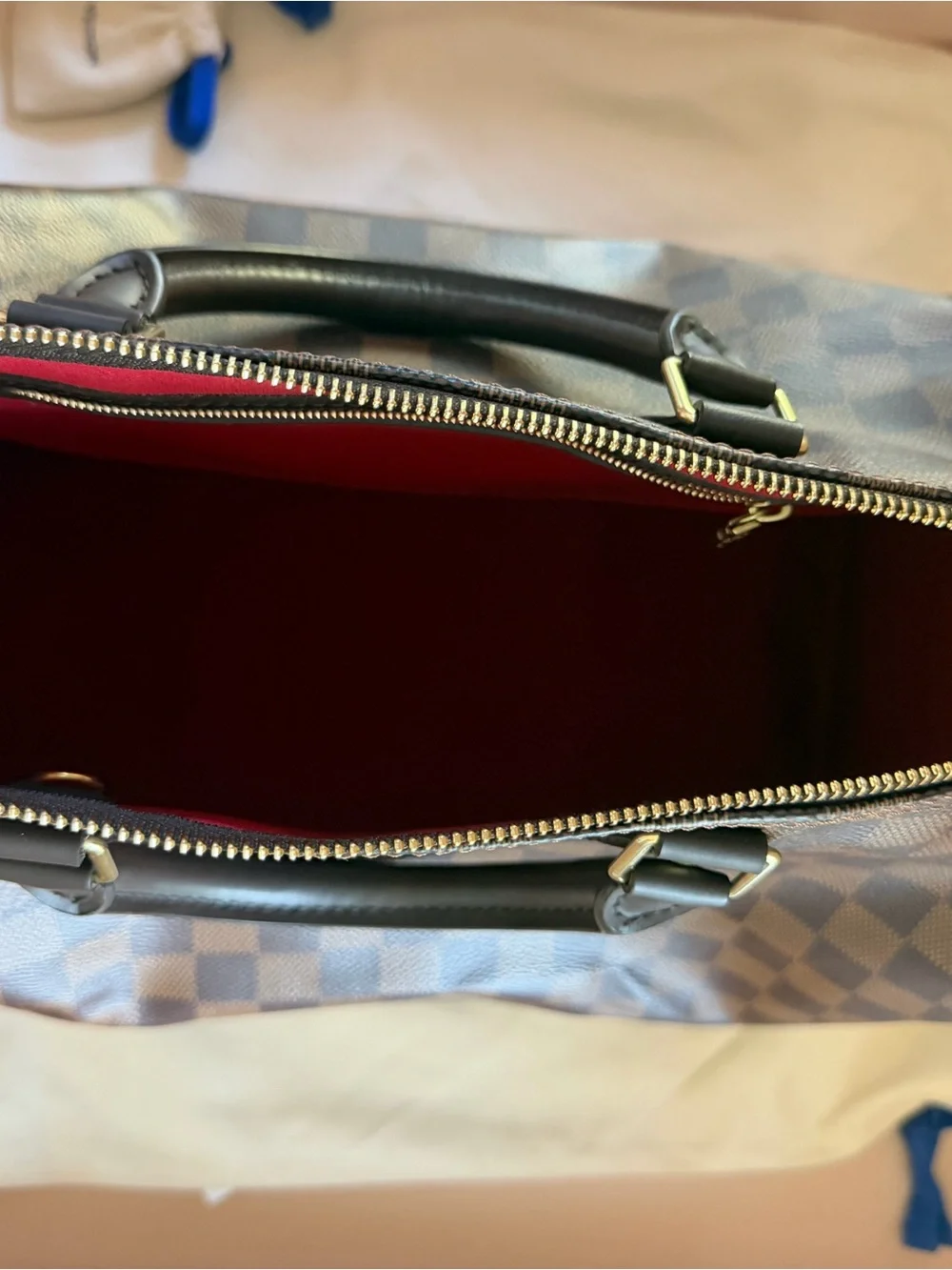 Louis Vuitton Brown Damier Ebene Canvas Speedy Bag